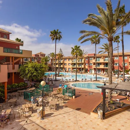 Bluesea Aloe 코라레호