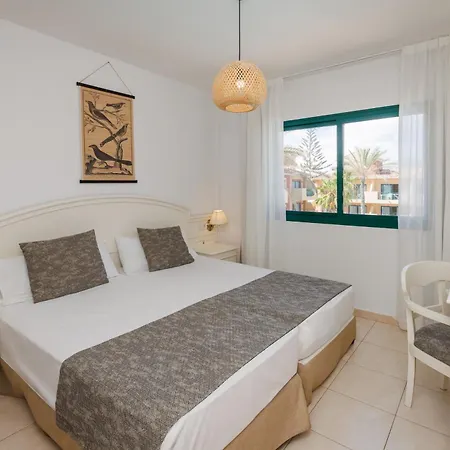 Bluesea Aloe 코라레호