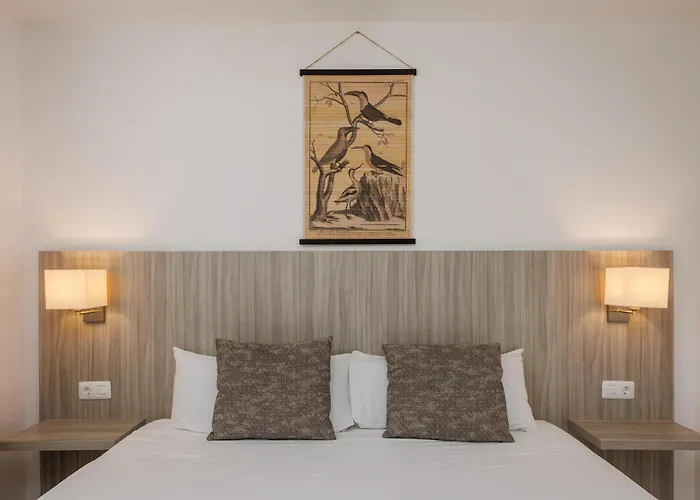 Bluesea Aloe 3* Corralejo